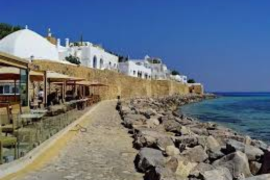 Investire in Tunisia